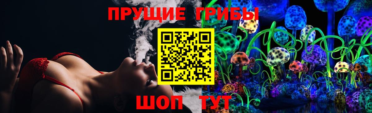 Кисловодск  Псилоцибиновые грибы GOLDEN TEACHER  Вход с VPN 